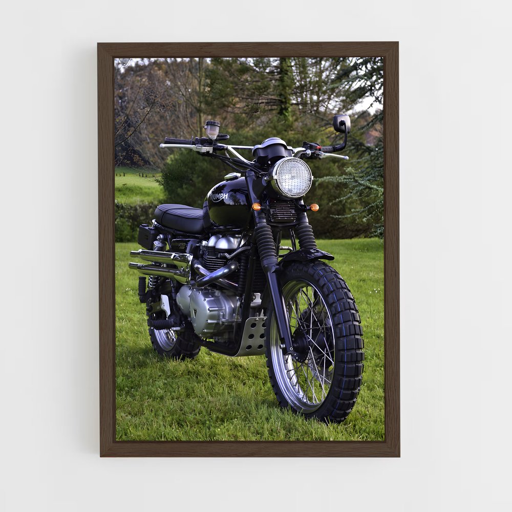 Poster Road Trip Spirit – affiche Triumph (vue 5)